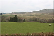 NS4000 : Farmland at Tairlaw Glen by Billy McCrorie
