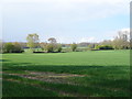 Crop field beside Peggs Wood