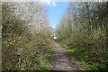 Cycle Route 63 climbing up through Burroughs Wood