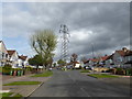 Pylon in Harcourt Avenue