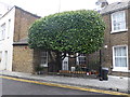 House with a comparatively large tree