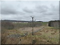 Wall crossing rough ground near Dalnavie