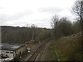 Railway line north west of Berry Brow station (2)