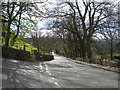 North end of Lea Lane, Netherton