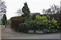 Garden on Parsonage Lane, Sawbridgeworth