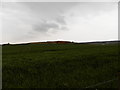 Farmland at Lower Cullernie