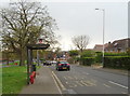 Bus stop and shelter on Swakeleys Road, Ickenham