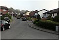 Northeast end of Springfield Lane, Rhiwderin