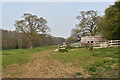 Horse grazed pasture on the edge of Levington