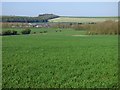 Farmland, Burbage