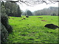 Bridleway to Low Farm