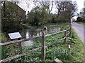 Larkfield Pond