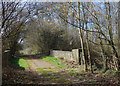 Bridge on an old road