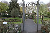 TQ2388 : Pergola in Hendon Park by David Howard