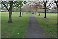 Path in Hendon Park