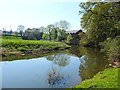 The River Dane near Glebe Farm