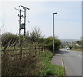 Line spur pole in a Llechryd field