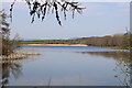 Mill Loch, Lochmaben