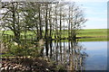 Mill Loch, Lochmaben