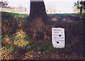 Old Guidestone by Salterforth Lane, Barnoldswick