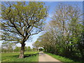 Roadway to Fen Farm