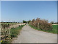 Track towards Gilberdyke