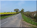 Looking north on Castle Lane