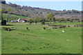 View towards Coed Howell Farm