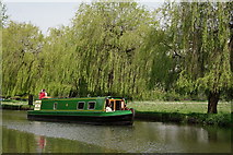 SU9948 : 'Willow' on the Wey by Peter Trimming