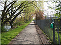 Path in Heavers Meadow