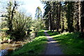 Woodland path, Bunaninver