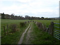 Path through fields