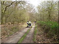 Track in the woodland near Coombe Hill, Bucks