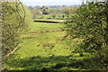 Pasture east of Mon & Brec Canal