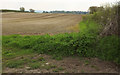 Arable field on Wick Hill