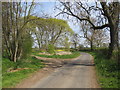 Butterwick Road, near Sedgefield