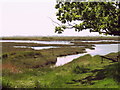 Fingringhoe marsh & Geedon Creek