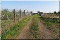 Allotments on the edge of Norton