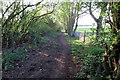 Bridleway towards the reservoir