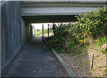 TQ9788 : Path beneath Havengore Bridge by David Kemp