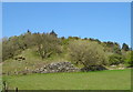 Grazing and woodland, Catlow