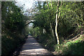 Auckland Walk overbridge near Canney Hill