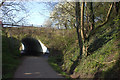 Auckland Walk. Durham Road overbridge