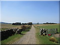 Gateposts and track, Burnhead