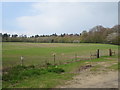 Field and woodland of the A40