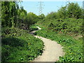 London Loop footpath by River Colne