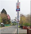 Local election posters for the three main Unionist parties on Main Street, Scarva