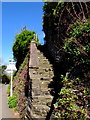 SO1422 : Steep stone steps, Bwlch, Powys by Jaggery