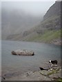 NG9461 : Dog investigates Loch Coire Mhic Fhearchair by Ibn Musa