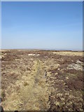 SD8671 : An Old Coal Road on Fountains Fell by Matthew Hatton